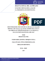 Efectividad Del Enjuague Bucal de Matricaria Chamomilla Frente Al de Plantago Major en El Control de La Placa Bacteriana en Adolescentes de 15 A 16 Años en La I.E.S. Juan Bustamante de Lampa 2017