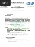 PDF Documento