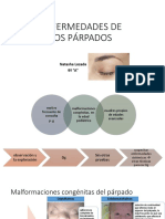 Enfermedades de Los Párpados