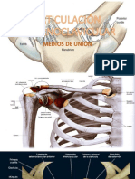 Articulación Esternoclavicular