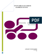 Guia Teologia Ministerial y Hogar Cristiano Ibo PDF