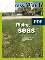 Seagrass-Watch Seagrass-Watch: Rising