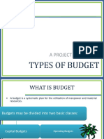 Types of Budget: A Project Report On