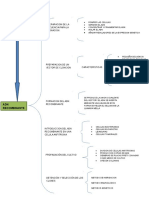 Adn Recombinante Mapa Conceptual