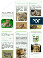 Triptico Del Leopardo