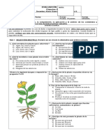 Evaluación de Síntesis, Ciencias Naturales 3° Básico