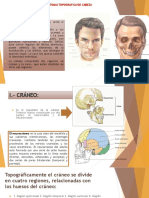 Anatomia-Topografica-Grupo 5