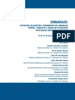 Guía de Actuación Clínica en A.P PDF