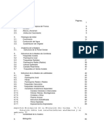 Anatomia de La Madera