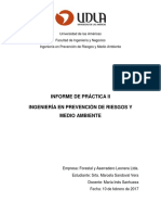 Informe Práctica Profesional