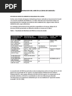 Contaminacion Del Aire en La Zona de Caraveli