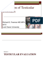 Testicular Disorders Freeman 2013