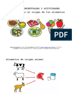 Mapas Conceptuales y Actividades Origen Alimentos