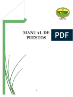 Manual de Puestos