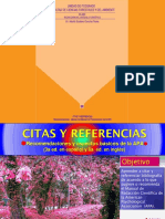 Citas y Referencias Con Las Normas de La A.P.A.