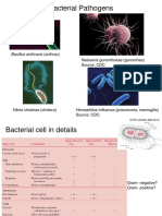  Bacterial VirulenceFactors and Pathogenicity