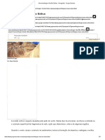 Geomorfologia - Erosão Eólica - Geografia - Grupo Escolar