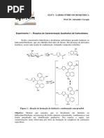 Experimento 1