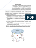 Ciclo de La Urea