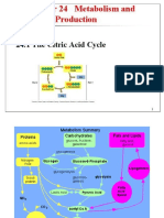 Rx24citricacidcycle 1