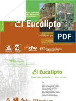 Eucalipto PDF