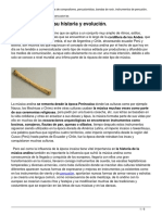 Musica Andina Historia y Evolucion PDF