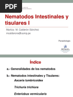 2017 TEORIA Nematodos 1