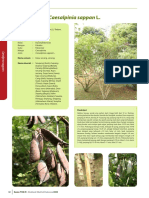 Caesalpinia Sappan L PDF