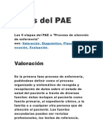 ETapas Del PAE