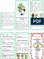 Triptico Las Plantas