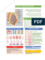 Anatomia y Fisiologia Mamaria