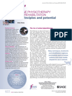 Principles and Potential: Feline Physiotherapy and Rehabilitation