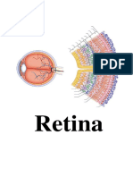 Retina