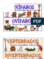 Tipos de Animales