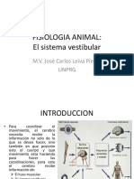 El Sistema Vetibular V2