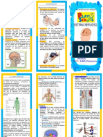 El Sistema Nervioso Triptico