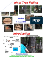 Tree Felling Presentation PDF