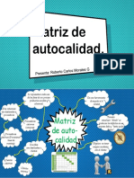 Act 12 Mapa Mental Matriz de Autocalidad