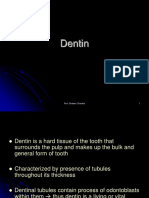 All About Dentin