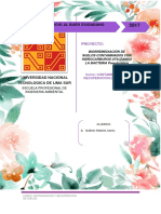 Proyecto PDF