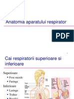 Anatomia Aparatului Respirator