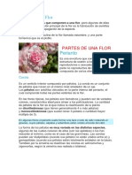 Partes de Una Flor