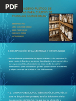 Invernadero Rustico de Camaras para Cultivo de Hongos