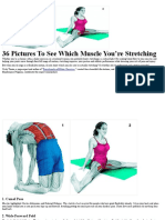 36 Pictures To See Which Muscle You'Re Stretching