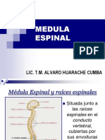 Médula Espinal