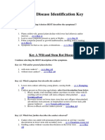 Tomato Disease Identification Key