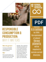 Consumption and Production Un