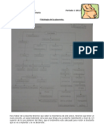 Fisiologia Placentaria