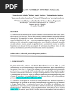 Informe 4. Determinacion Fenotipica y Bioquimica de Salmonella. .