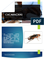 Cucarachas